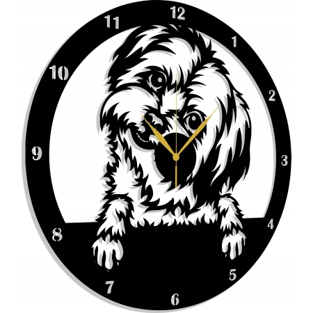 ZEGAR PIES SHIH TZU SZITSU SHITZU MALTAŃCZYK