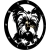 ZEGAR JORK YORK YORKSHIRE TERRIER